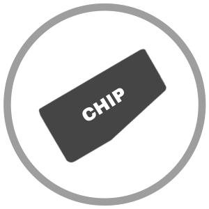 Immobilaizeriai(čipai)